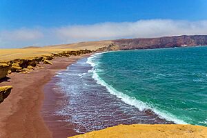 Playa Roja - Paracas National Reserve, Ica