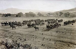 Pontville Brighton Australian army camp in Tasmania - WW1 (13972505810)