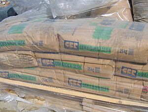 Portland Cement Bags