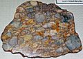 Quartz-pebble metaconglomerate (Jack Hills Quartzite, Archean, 2.65 to 3.05 Ga; Jack Hills, Western Australia) 2