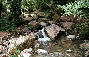 Río Guareña (4)