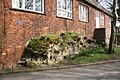 Roman Wall - geograph.org.uk - 381752