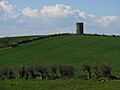 Ruined windmill near Greyabbey - geograph.org.uk - 762590