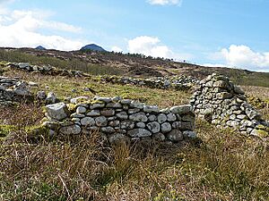 Ruins at Port-na-Caranean (geograph 2920676)
