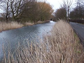 Runcorn and Latchford Canal - geograph.org.uk - 323968.jpg