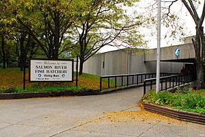 Salmon River Fish Hatchery 2011