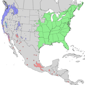 Sambucus nigra canadensis & cerulea range map 2