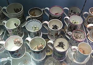 Set of frog mugs