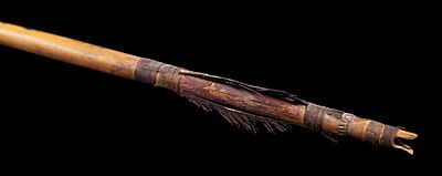 Sinew wrapped split feathers on Sinagua arrow