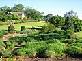 South Carolina Botanical Garden - view 2