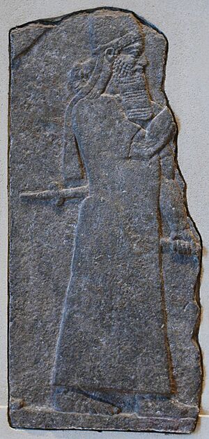 Tiglath-Pileser III Nimrud Louvre AO19853