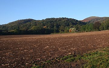Tinkers Hill - geograph.org.uk - 590231.jpg