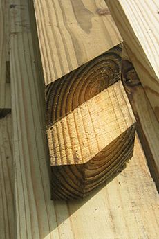 Treated timber
