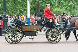 Trooping the Colour 2016 - JPP-2549 (27328934890)