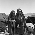 W obozie koczowników – Pasztunów (Durrani, szczep Aczakzaj) – kobiety „kuczi” - między Heratem a Giriszk nad rzeką Galamieh - 001076n