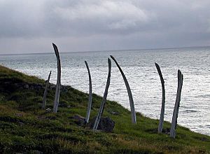 Whale Bones, Cape Dezhnev