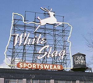 White Stag sign (day), 1985