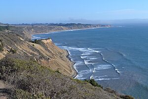 Wildcat beach at Point Reyes National Seashore 4