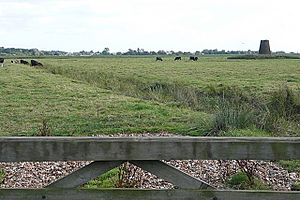 Womack water drainage mill - geograph.org.uk - 972290.jpg