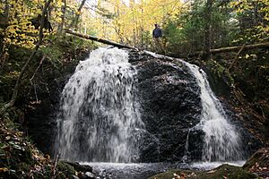 20121020 Devil's Hill Falls 1.jpg