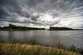 20170625 038 029 040 041 042 Dordrecht Brabantse Biesbosch (35499915671)