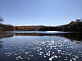 2020-10-17 10 48 19 View southeast from the northwest end of Little Bowman Pond during autumn in the Taborton section of Sand Lake, Rensselaer County, New York