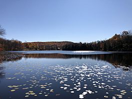 2020-10-17 10 48 19 View southeast from the northwest end of Little Bowman Pond during autumn in the Taborton section of Sand Lake, Rensselaer County, New York.jpg