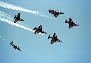 A-4Fs Blue Angels Fleur de Lis 1984