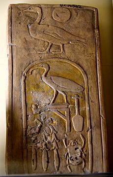 A fragment of a wall block. The hieroglyphs Son of Ra were inscribed over the cartouche of the birth-name of Thutmos III. 18th Dynasty. From Egypt. The Petrie Museum of Egyptian Archaeology, London