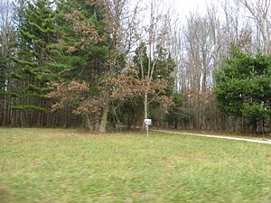 Aaron Fagin House driveway