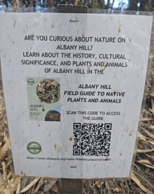 AlbanyHillFieldGuide