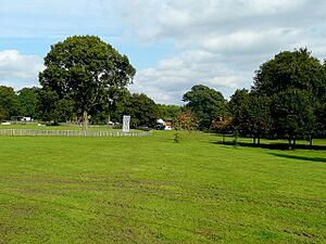 Alfreton Park 1 - geograph.org.uk - 1480197