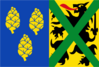 Flag of Alveringem