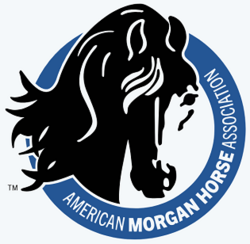 American Morgan Horse Association logo.png