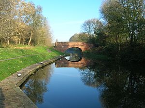 Aylestone Meadows canal bridge.jpg