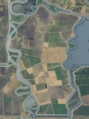 Bacon Island (California)