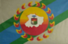 Flag of Ciudad de Carora (Carohana City)