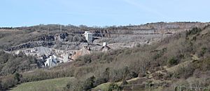 Batts Combe Quarry from tower