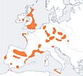 Bellbeaker map europe