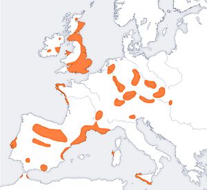 Bellbeaker map europe