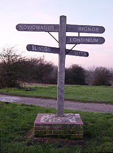 Bignor Hill's 'Roman' signpost - geograph.org.uk - 81472