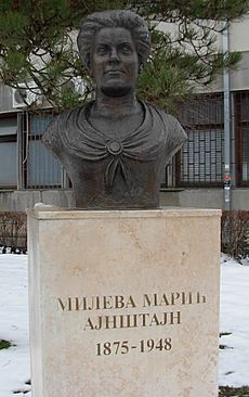 Bista Mileve Marić-Ajnštajn, Studentski grad