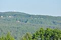 BryantMountainStateForest