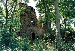 Burradon Tower - geograph.org.uk - 454458