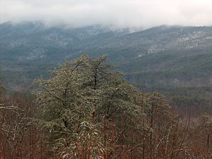 Cheaha in the Snow