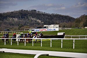 Chepstow Racecourse - geograph.org.uk - 1286216