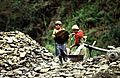 Child Labor in Morona Santiago, Ecuador 1990