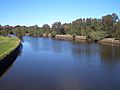 Cooks River Earlwood