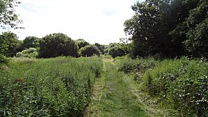 Covert Way, Enfield 2