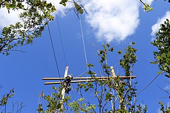 Critical electrical grid infrastructure in Guánica, Puerto Rico